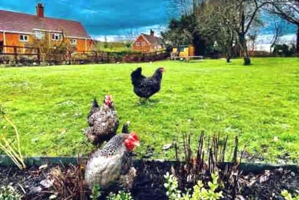 Stylish Cottage In The Pewsey Vale Marlborough Luaran gambar